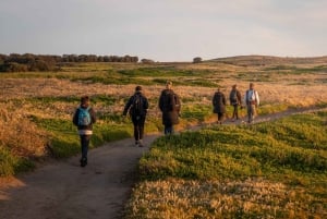 Melbourne Puffing Billy og pingviner dagsomvisning