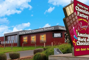 Melbourne: Puffing Billy Railway & Penguin Parade Day Trip