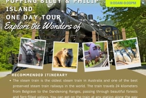 Melbourne: Puffing Billy Railway & Penguin Parade Tagestour