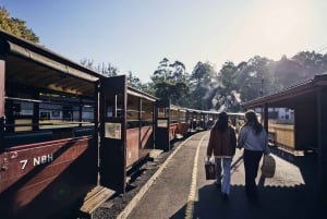 Melbourne: Puffing Billy & Rainforest Tour