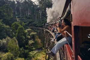 Melbourne: Puffing Billy & Rainforest Tour