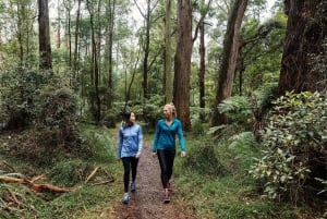 Melbourne: Puffing Billy & Rainforest Tour