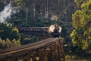 Melbourne: Puffing Billy Train & Healesville & vingårdstur
