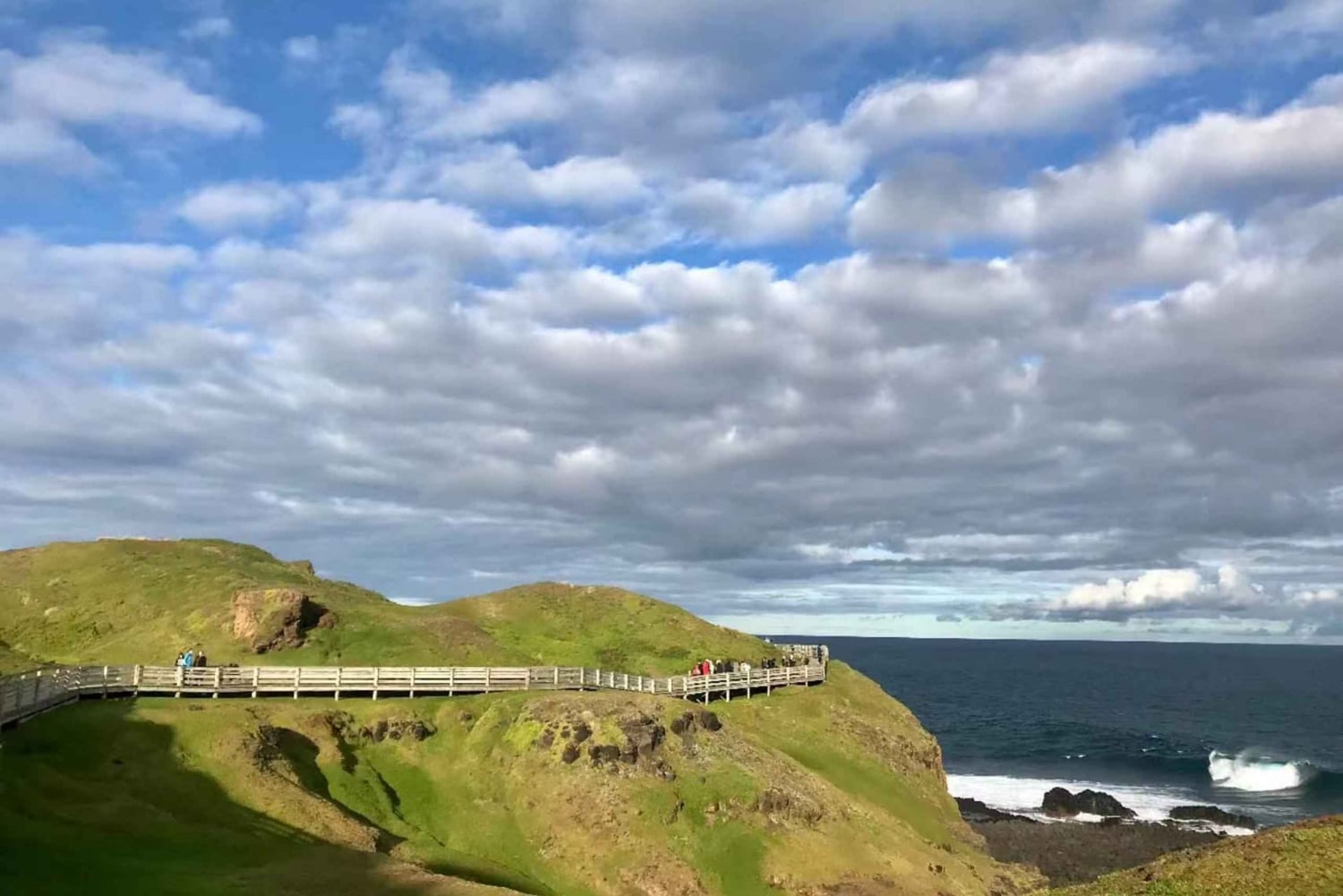 Мельбурн: поезд «Пыхтящий Билли» и экскурсия на остров пингвинов