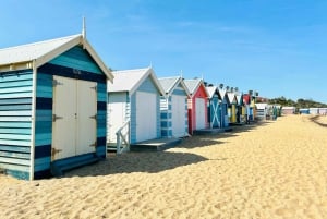 Мельбурн: поезд «Пыхтящий Билли» и экскурсия на остров пингвинов