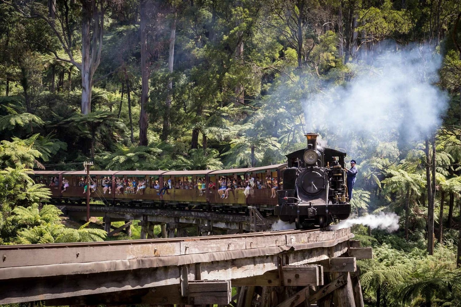 Melbourne: Puffing Billy-trein en pinguïnparade-avontuur