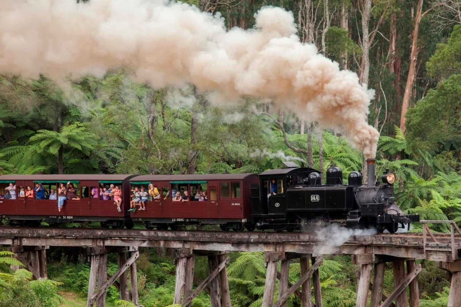 Melbourne: tour privado con el tren Puffing Billy y el zoo