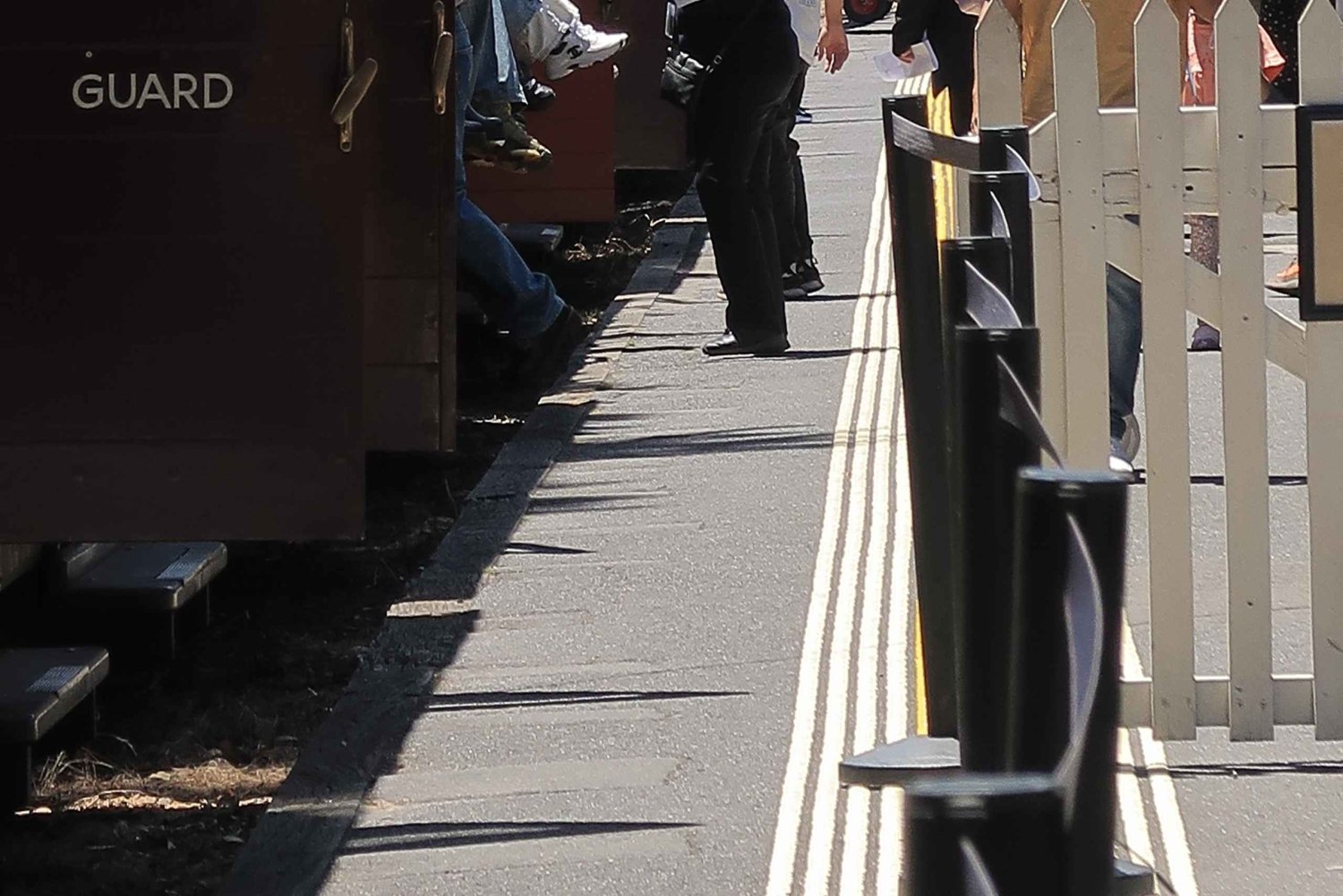 Melbourne : excursion d'une journée en train Puffing Billy et Penguin Island