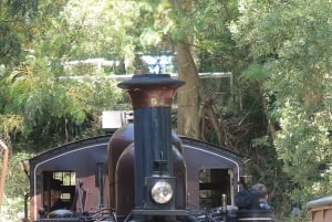 Melbourne: Puffingbilly-tog og Penguin Island-dagstur