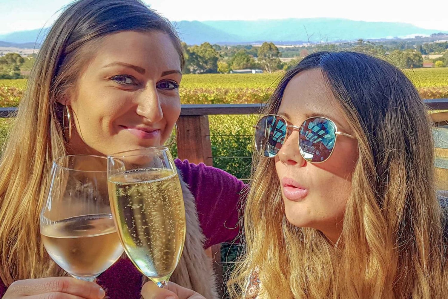 Melbourne: Relaxed Half-Day Yarra Valley Wine Tour