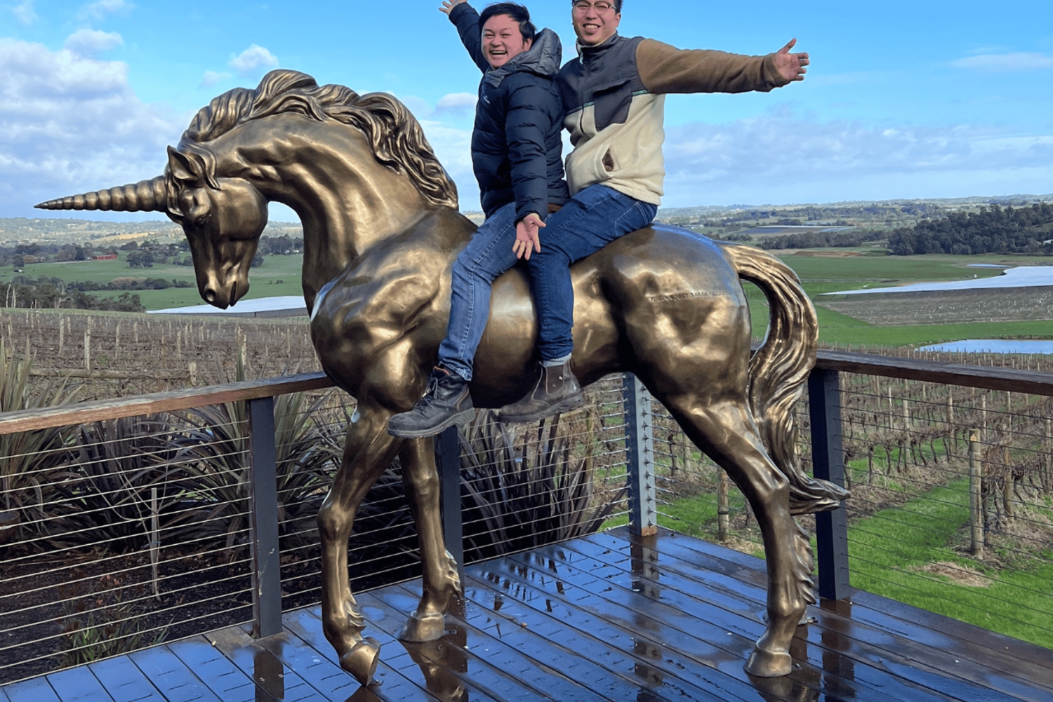 Melbourne: Relaxed Half-Day Yarra Valley Wine Tour