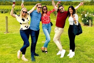 Melbourne: Relaxed Half-Day Yarra Valley Wine Tour