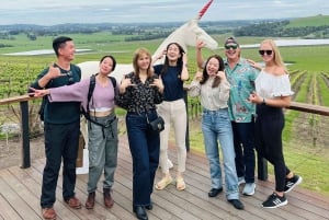 Melbourne: Relaxed Half-Day Yarra Valley Wine Tour