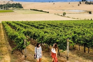 Melbourne: Relaxed Half-Day Yarra Valley Wine Tour