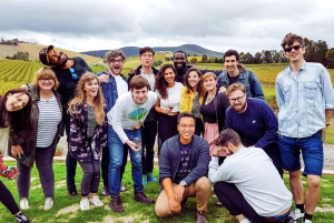Melbourne: Relaxed Half-Day Yarra Valley Wine Tour