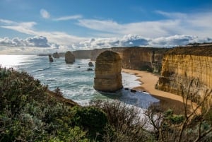 Melbourne : Great Ocean Road, 12 Apôtres, avec déjeuner