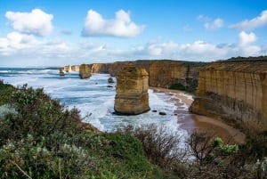 Melbourne : Great Ocean Road, 12 Apôtres, avec déjeuner