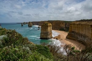 Melbourne : Great Ocean Road, 12 Apôtres, avec déjeuner