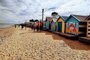 Melbourne tur i liten grupp (minibuss och till fots) med Beach Boxes