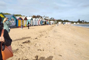 Melbourne tour in kleine groep (busje en wandeling) met strandhuisjes