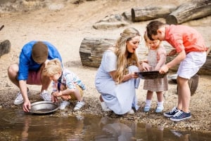 Melbourne: Sovereign Hill 'A Touch of Gold' Ballarat Tour