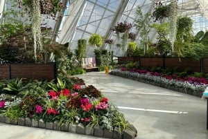 Melbourne: Sovereign Hill, Eureka Centre & Melbourne Skydeck