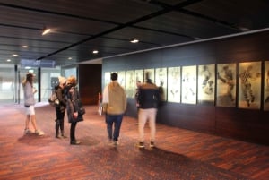 Melbourne Sports Walk