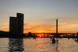 Melbourne: Sunset Kayak Tour with Dinner