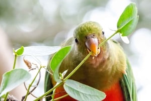 Melbourne to Adelaide: 2-Day Great Ocean Road Grampians Tour