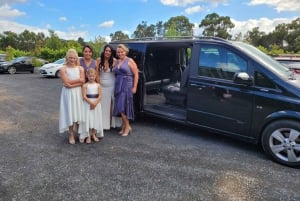 Melbourne Puffing Billyyn ja Yarra Valleyyn Yksityinen kierros