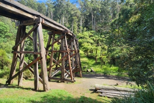 From Melbourne: Puffing Billy Private Tour