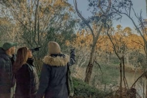 Melbourne-tur: Gå langs Yarra og opplev det historiske klosteret