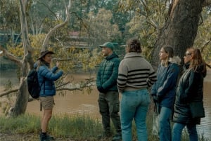 Tour di Melbourne: passeggiata lungo il fiume Yarra e pranzo nella storica rimessa per barche
