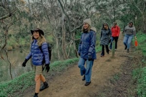 Tour di Melbourne: passeggiata lungo il fiume Yarra e pranzo nella storica rimessa per barche
