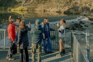 Tour di Melbourne: passeggiata lungo il fiume Yarra e pranzo nella storica rimessa per barche