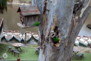 Tour di Melbourne: passeggiata lungo il fiume Yarra e pranzo nella storica rimessa per barche