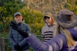 Tour di Melbourne: passeggiata lungo il fiume Yarra e pranzo nella storica rimessa per barche