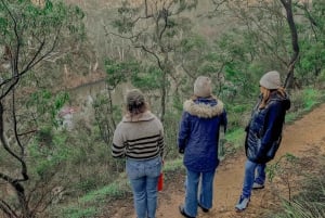 Tour di Melbourne: passeggiata lungo il fiume Yarra e pranzo nella storica rimessa per barche