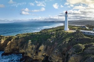 Melbourne: Ultimativ Great Ocean Road Morning Escape-dagstur