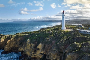 Мельбурн: Однодневный тур 'Утренний побег по Великой океанской дороге