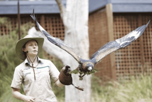 Melbourne Unlimited Attractions Pass