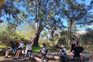 Melbourne: Spacer wzdłuż rzeki Yarra do zabytkowego klasztoru Abbotsford Convent
