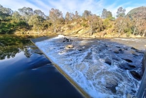 Melbourne: Spacer wzdłuż rzeki Yarra do zabytkowego klasztoru Abbotsford Convent