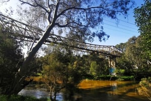 Melbourne: Spacer wzdłuż rzeki Yarra do zabytkowego klasztoru Abbotsford Convent