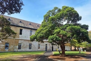 Melbourne: Gå langs Yarra til det fredede Abbotsford Convent