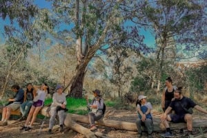 Melbourne: Gå langs Yarra til det fredede Abbotsford Convent