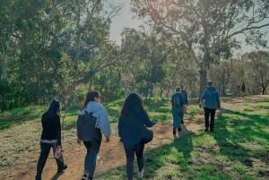 Melbourne: Gå langs Yarra til det fredede Abbotsford Convent