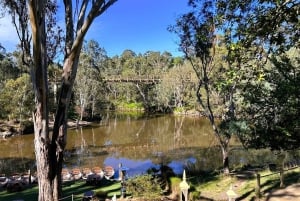 Melbourne: Wandel langs de Yarra naar het historische Fairfield Boathouse