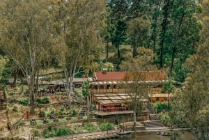 Melbourne : Promenez-vous le long de la Yarra jusqu'à l'historique Fairfield Boathouse