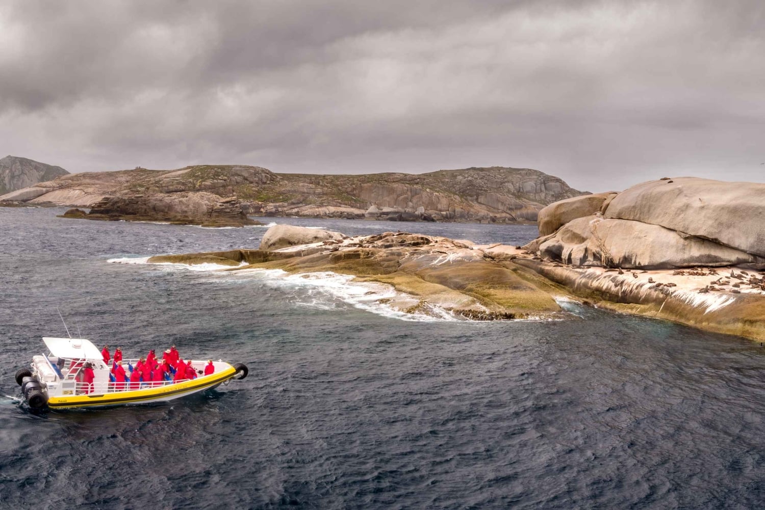 Melbourne: Wilsons Promontory Morning Wilderness risteily